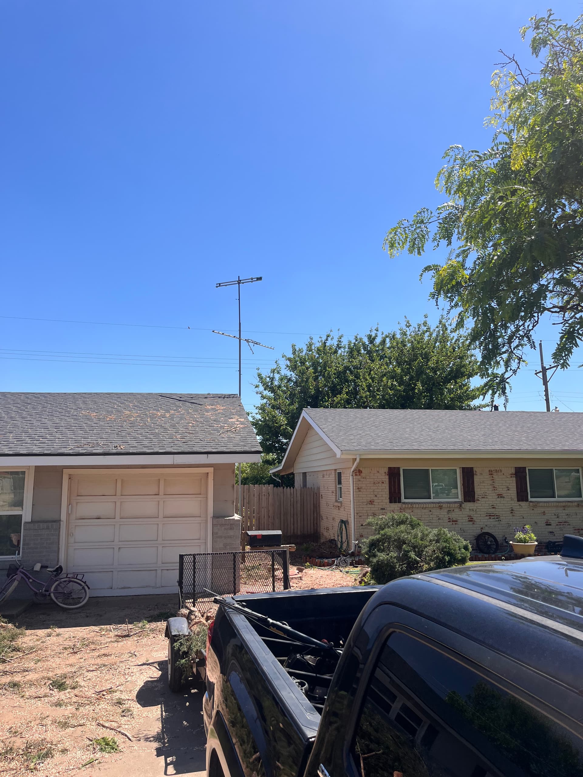 Cedar tree in Borger  (After) 5/8/25