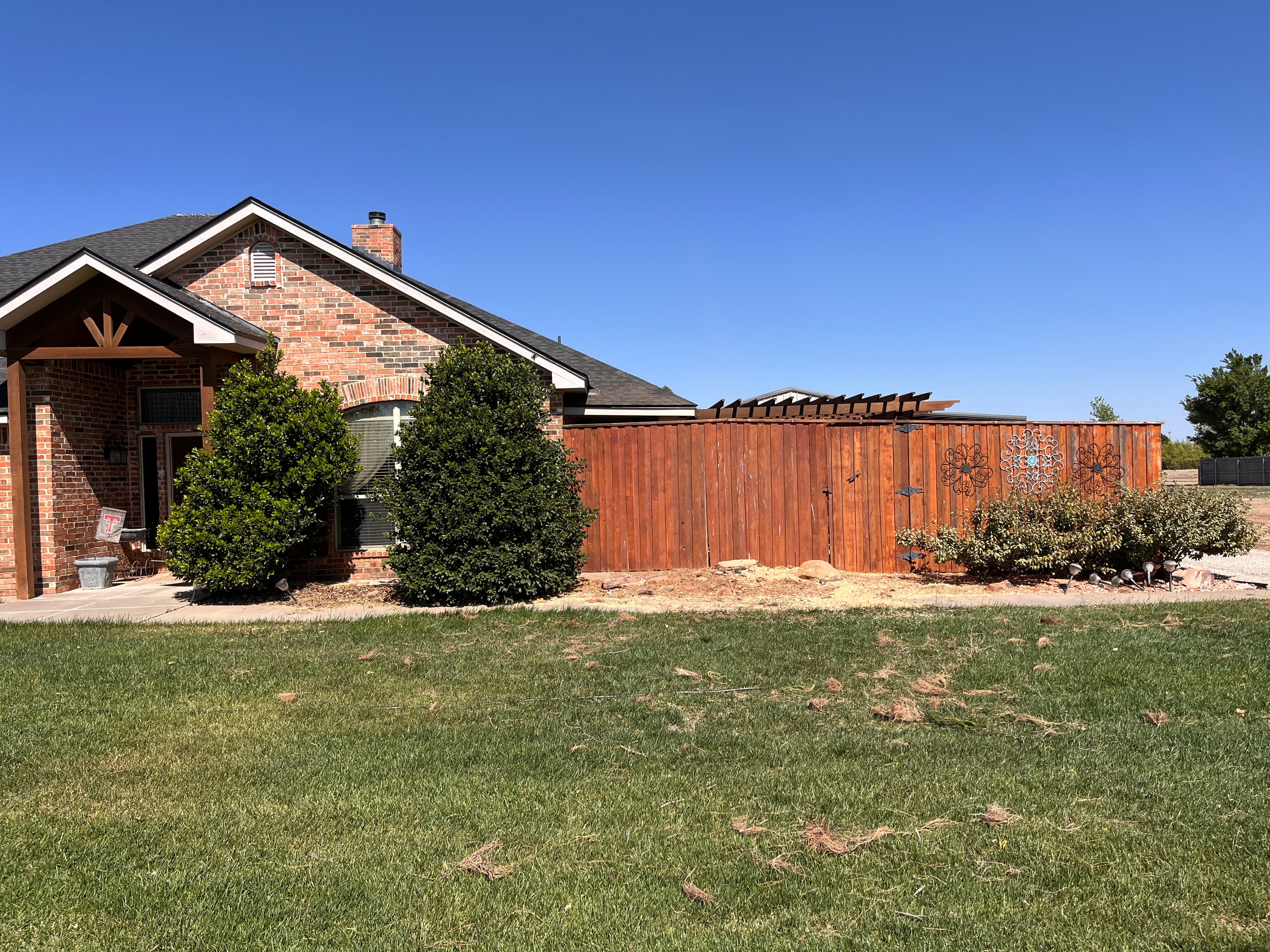 Pine Tree and Brush Removal