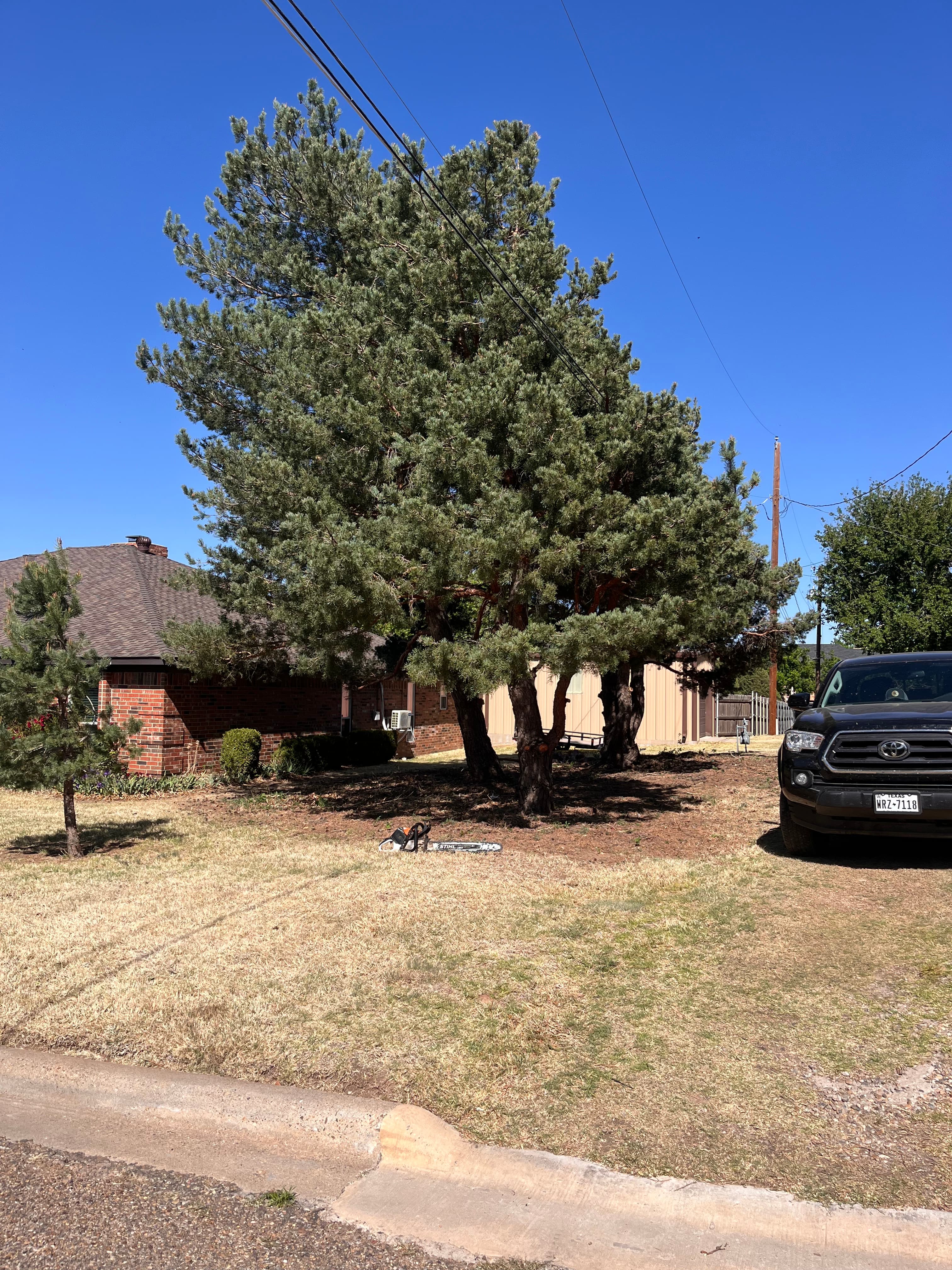 Brush clearing 4/27/26