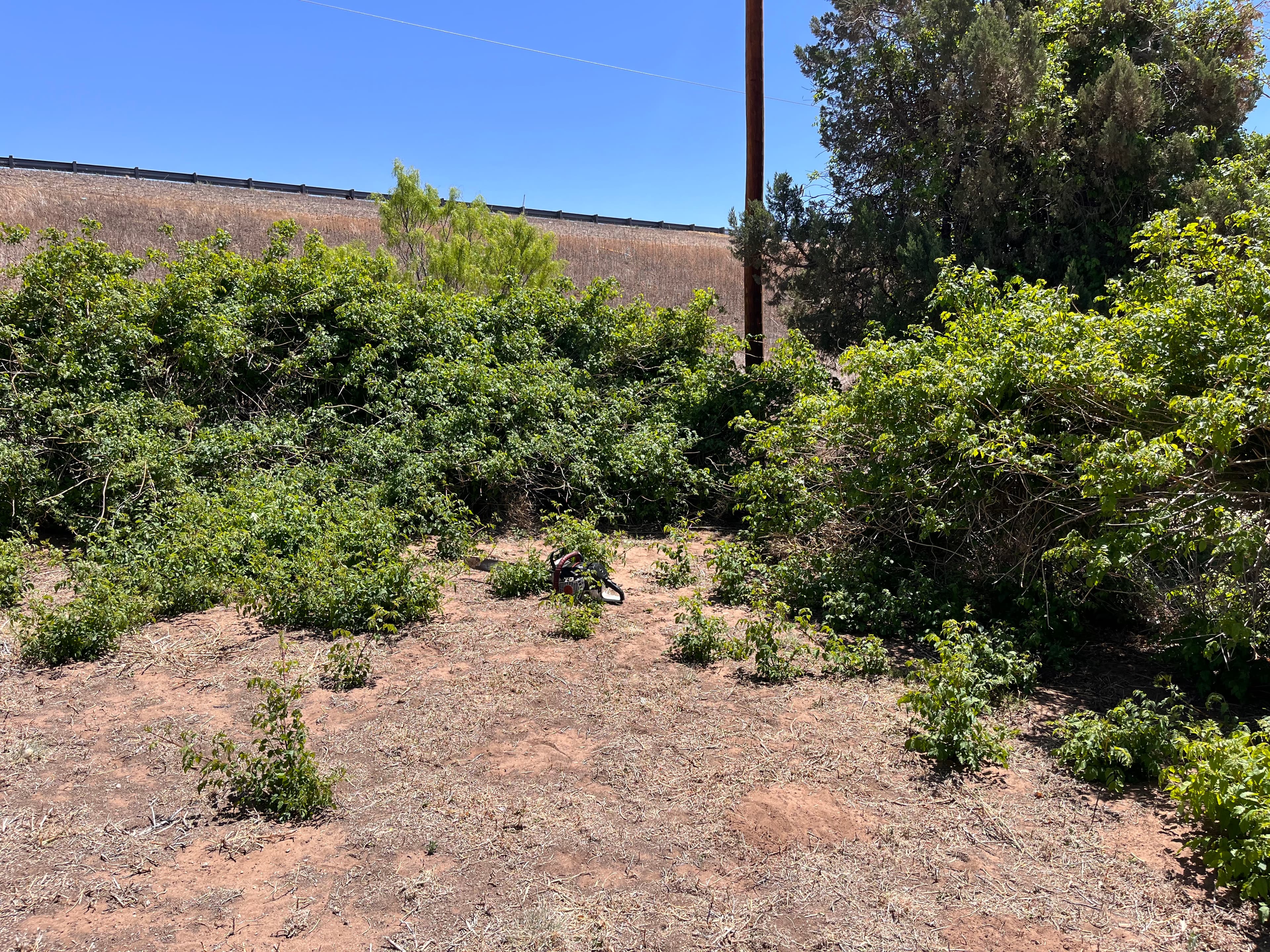 Brush clearing 4/24/26