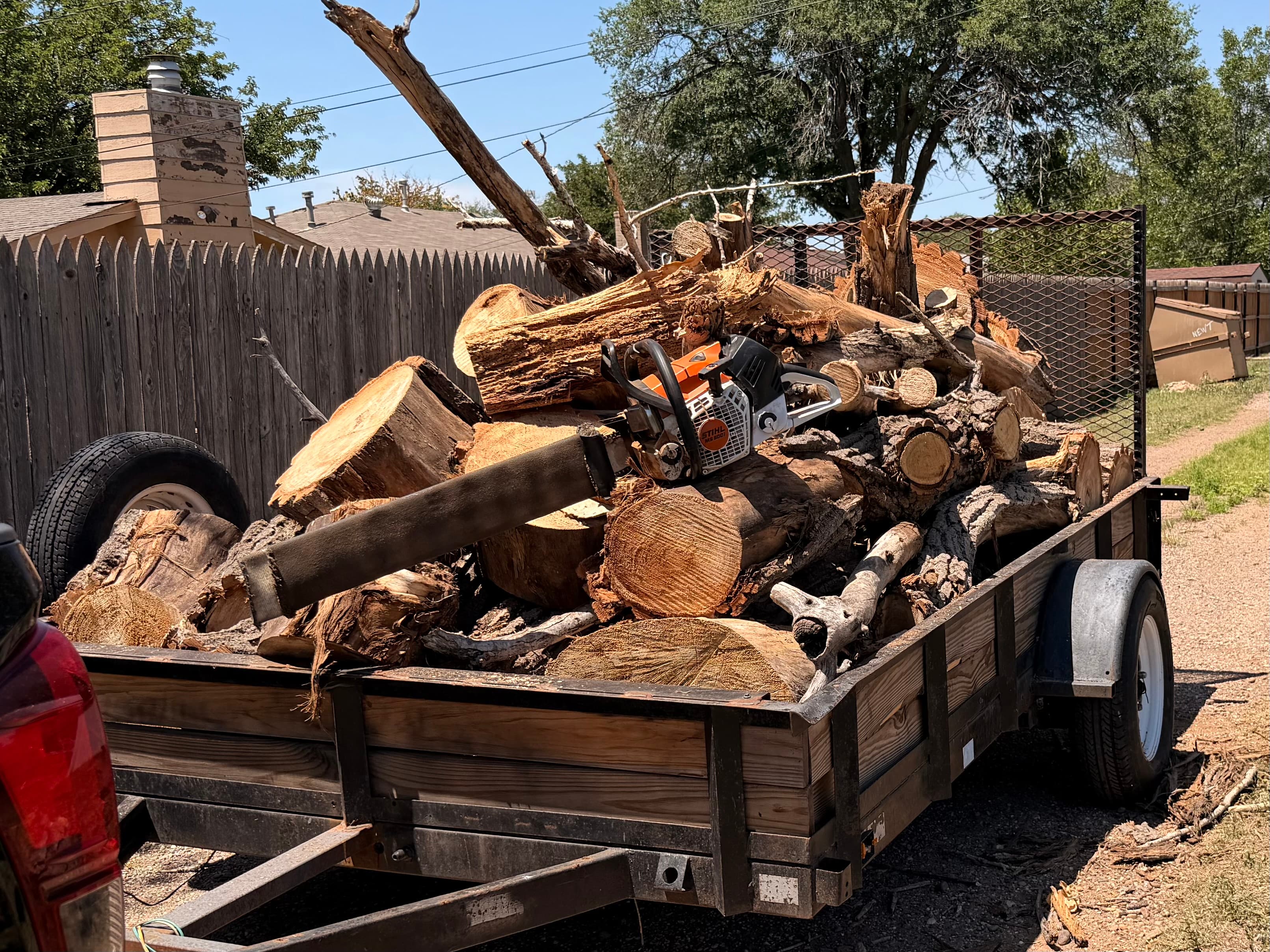 Load of the blown down elm